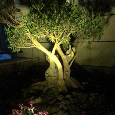 Solar Spotlight for Garden